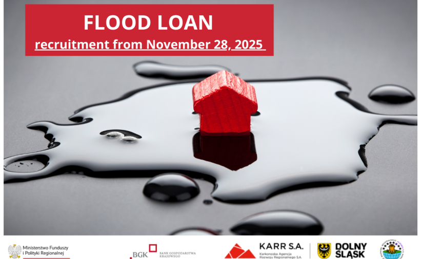 Flood loan. Application date: November 28, 2025. Decorative graphics in the background.