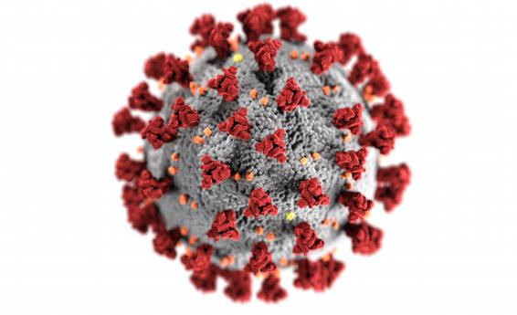 obraz przedstawia model koronawirusa SARS-Cov-2