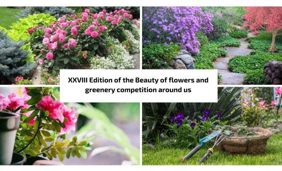 4 photos with colorful flowers in the garden. In the middle, the inscription XXVIII edition of the competition "The beauty of flowers and greenery around us"